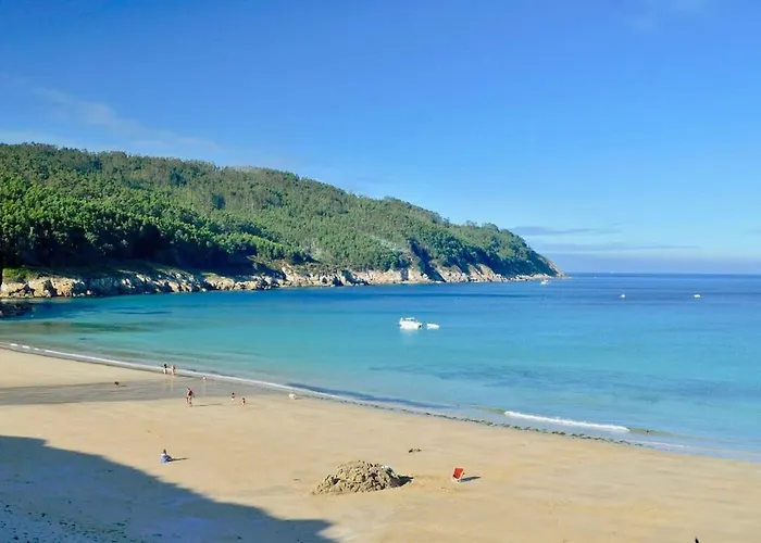 The Cliffs - Xilloi * Виседо